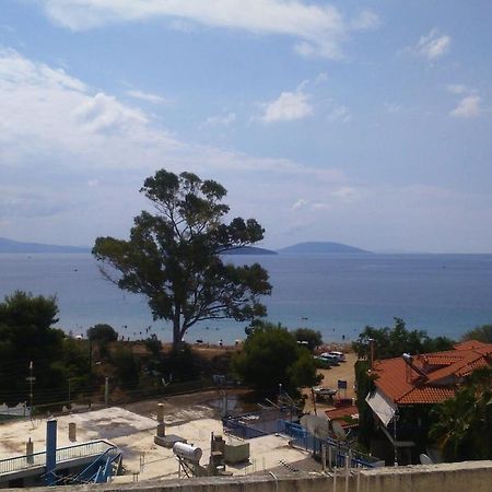 Tolo Beach Studios Екстериор снимка